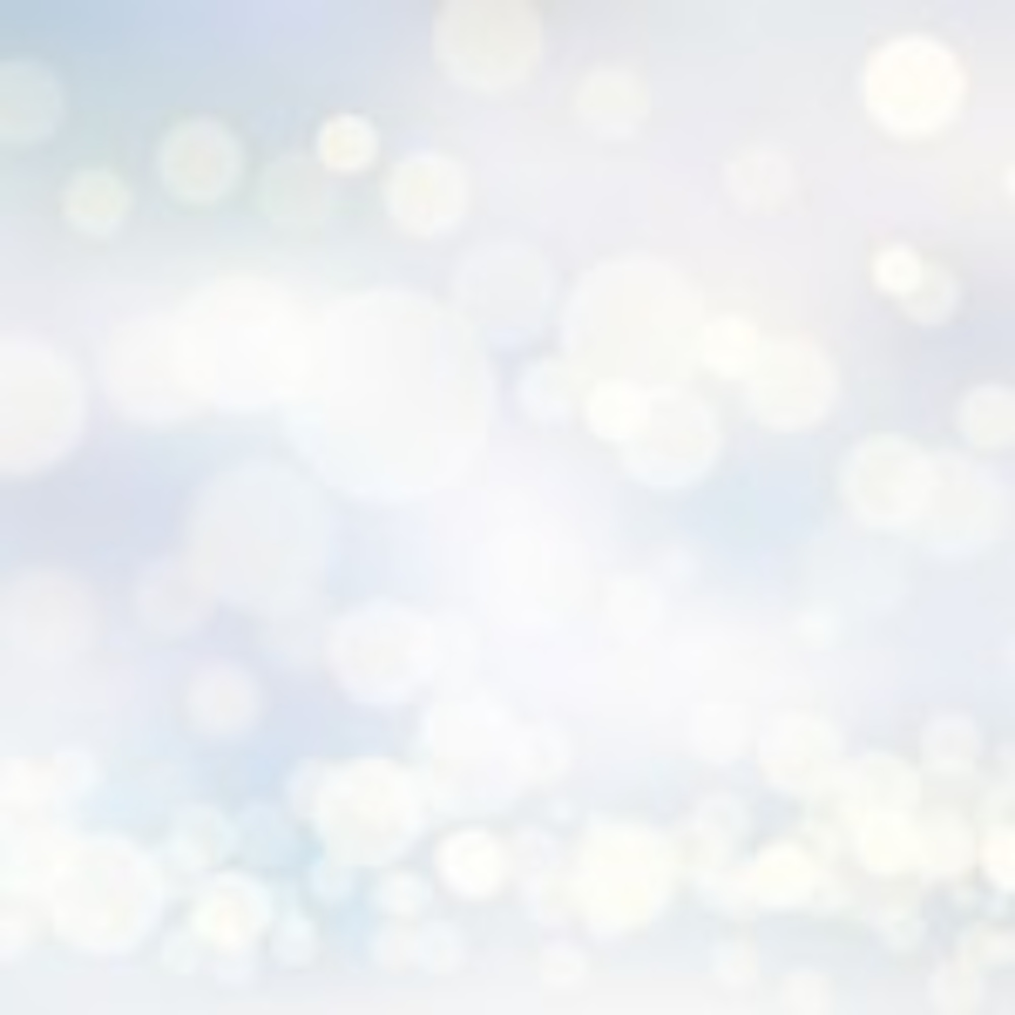 [東区](12/21･金)はち丸ネットワーク体験会を開催しました